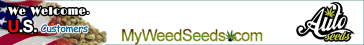 Auto Seeds