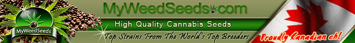 Quality Cannabis Seeds MyWeedSeeds.com
